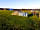 Cardigan Island Coastal Farm Park: Lots of space.