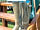 Splash Farm: Walkies time (photo added by manager on 30/08/2023)