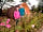 Top of the Rock Pod Páirc and Walking Centre: David and Elizabeth Ross...we welcome you to our farm at the Top of the Rock