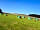 Gateham Grange Camping