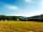 Mattiscombe Farm Camping: Guests enjoying the sun and views