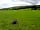 Bwch Yn Uchaf Camping and Caravanning Park (фото добавлено ReddingDarling 23.08.2015)