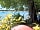 Europa Silvella: Camping pitches with wonderful views
