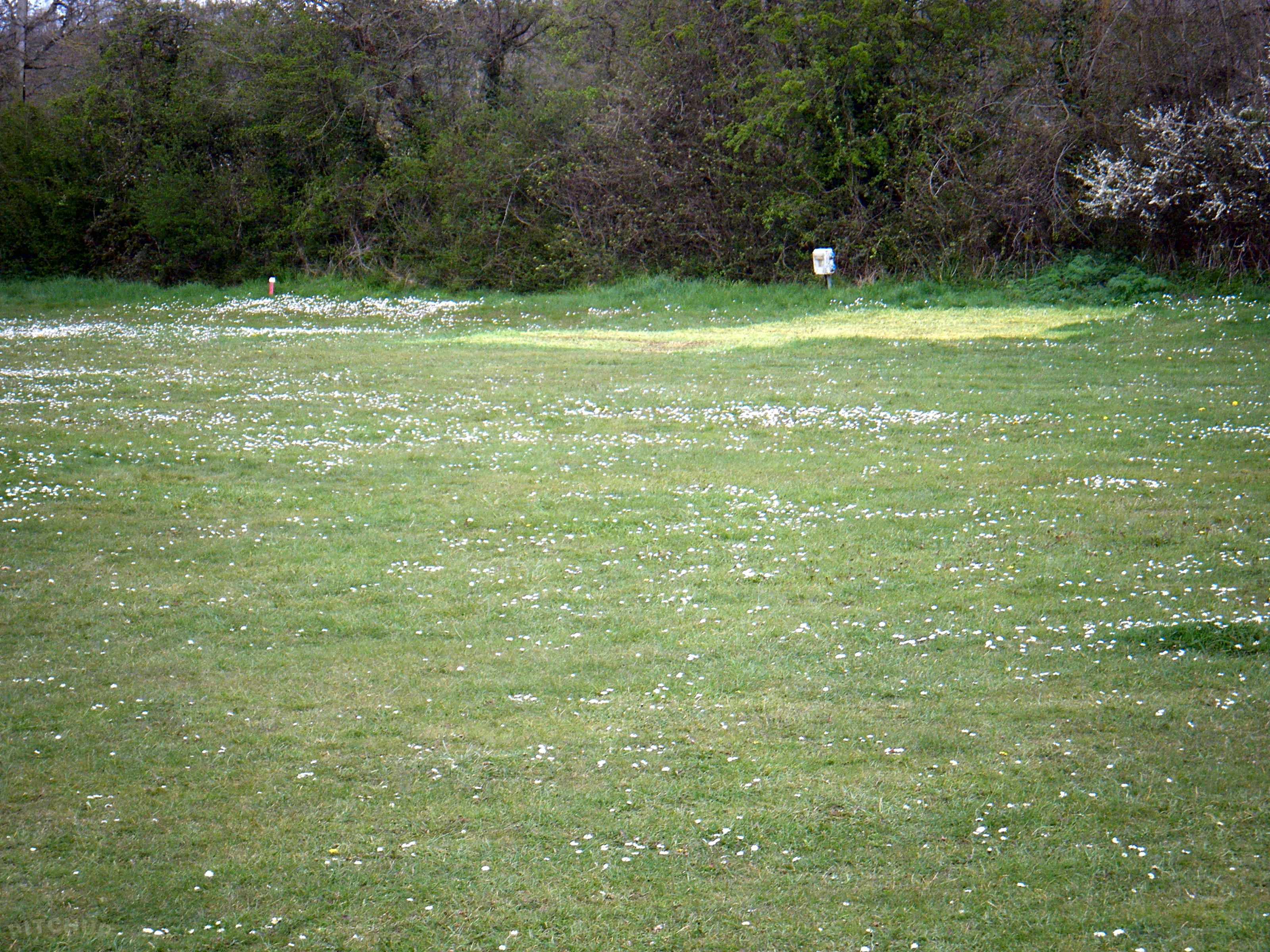 Incontri per oltre 50 in Dorset