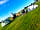 Moors Covert Farm Camping