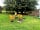 Just One Bell Tent: Hammock in the trees