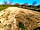 Pitch on the Wall Campsite: View over the site