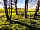 Kite View Campsite: Rapeseed in the background