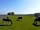 Greystones Nawab Camping and Touring