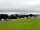 Lime Tree Holiday Park