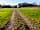 Hobson Farm