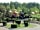 Camping Regio: Around the park