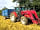 Gayton Farm: On a working farm (photo added by andreacannas on 14/08/2018)