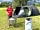 Llys-Y-Frân Meadow Campsite: Fire pit pack delivered to your tent