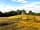 Golden Hill Wood: Summer hay cut (photo added by manager on 25/05/2023)