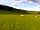 Dunn Street Farm: Surrounding fields