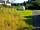 Cwmsoar Camping: Vintage caravan on site