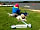 Tamar Lakes Campsite: Dog-friendly park