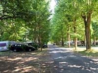 Tomt för tält eller för husbilstält utan elektricitet på gräs