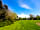 Creative Camping: Greenery (photo added by manager on 09/05/2022)