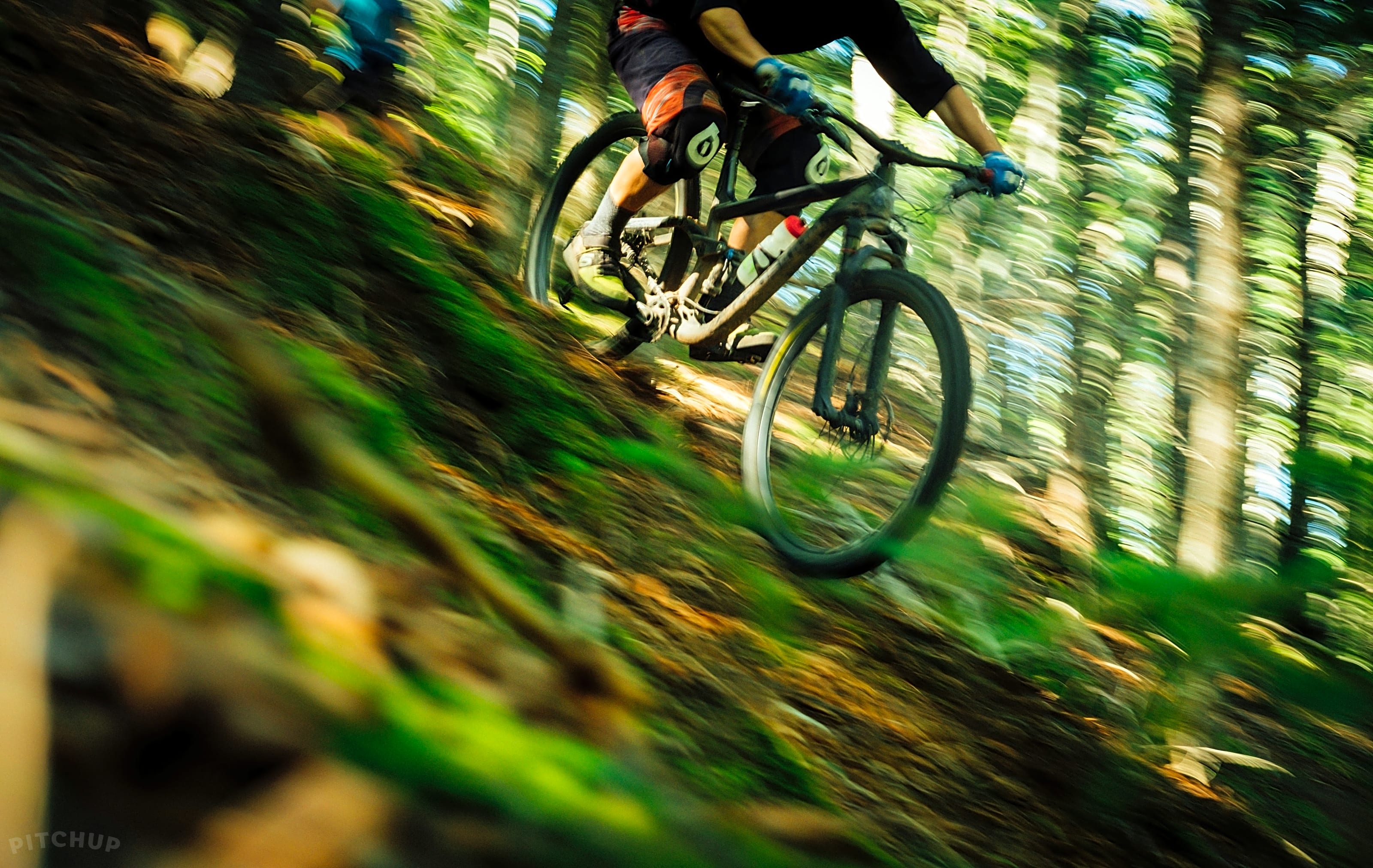 South downs mtb routes clearance