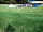 Bluebell Farm: Grass pitches