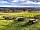 Morleys Farm: Picnic benches overlooking the fledgling Christmas tree plantation and beyond