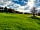 Bracelands Campsite: Grass pitches