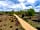 Matley Wood Caravan and Camping Site: Path through the site