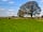 Longfield Farm: brilliant views
