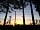 Port Lympne Reserve: Sunset over the camp 
