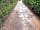 Exmoor Blueberries: Completely re-developed lane