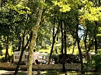 Among the trees Among the trees