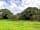 Bodmin Moor Camping: Pick your own pitch
