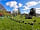 Chettle Campsite