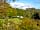 Cobleland Campsite: Around the site (photo added by manager on 07/01/2023)