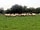 Gables Farm Touring and Camping: Residents on site