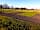 The Mile Caravan Park: Overlooking fields