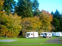 Sweet camping Sweet camping