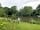 Blackland Lakes: A lovely setting & walks to keep the kids busy