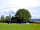 Bluebell Farm: All pitched up