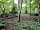 Woodlands Camping: Dereks pitch