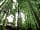 Redwood Valley - Woodland Cabin and Yurts: Cabin in the forest (photo added by manager on 10/07/2018)