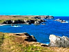Porthcothan Clifftop Camping (foto adicionada por thomruane em 11/08/2025)