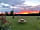 Canadian Fields: Pitches