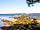 Camping Ugljan Resort: Hundestrand (photo added by  on 16/07/2022)