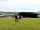 Woodhouse Farm: Farm animals on site