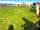 Swithens Farm