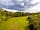 Ocknell Caravan and Camping Site: Grass pitches surrounded by trees