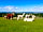 Severn Valley Alpacas